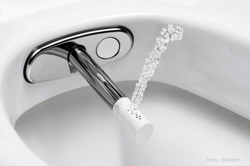 Der Rolls Roye unter den WCs ist mit integriertem Bidet